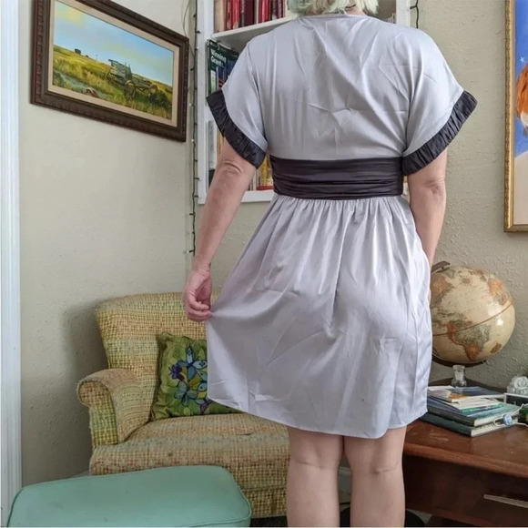 Silver and Dark Grey Silver A-Line Rainbow Dress BCBG Generation Sz 2 - Picture 6 of 6